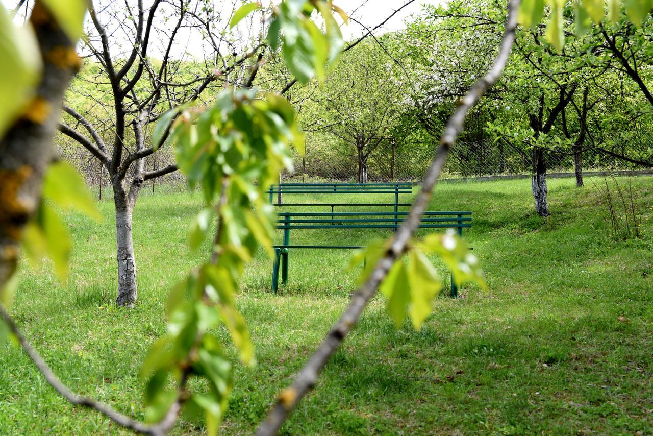 Nikala Panzió Telavi Kültér fotó